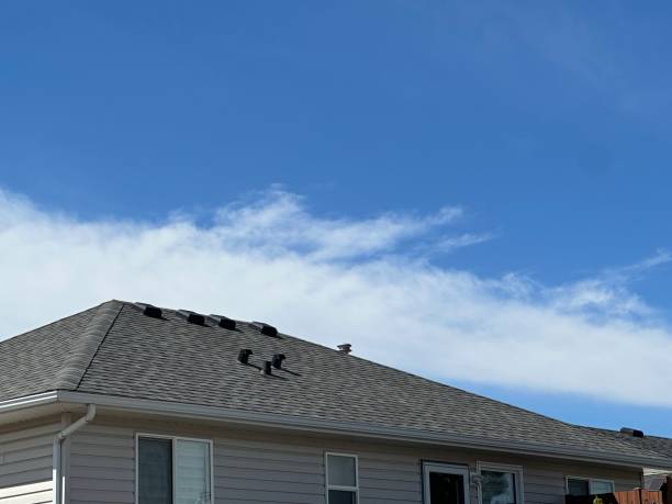 Trusted Lake City, SC Roofing service Experts